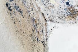 Best Residential Mold Inspection & Testing  in Oak Hill, TN